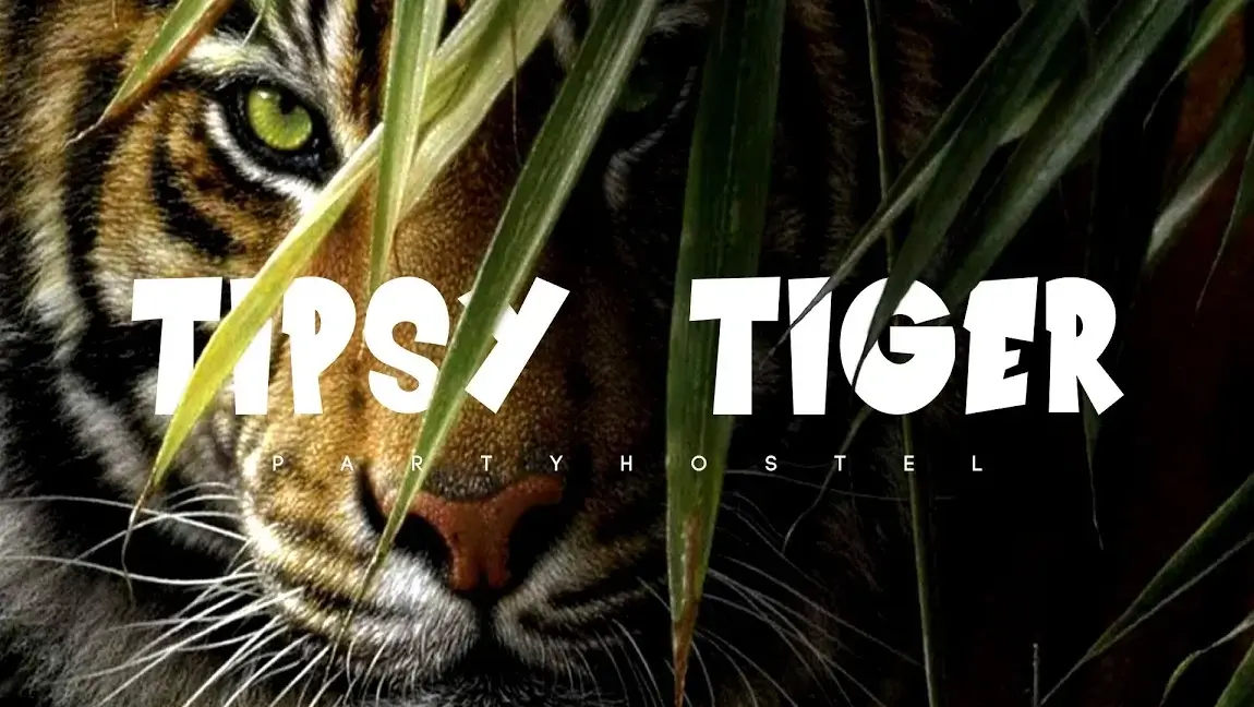 Tipsy Tiger
